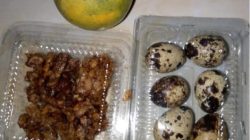 Skandal Gizi SDN Talang: Antara Telur Puyuh dan Dugaan “Sunatan” Anggaran Masif