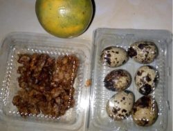 Skandal Gizi SDN Talang: Antara Telur Puyuh dan Dugaan “Sunatan” Anggaran Masif