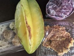 Sajian ‘Gizi’ Berujung Kekecewaan: Program MBG di Tulungagung Dinilai Jauh dari Standar Layak